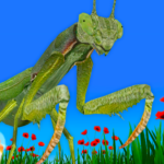 Bugs Insects VRAR Kid Game MOD Unlimited Money 4.5.1